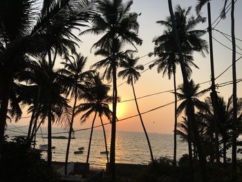 Silhouette palm trees on beach against sky during sunset