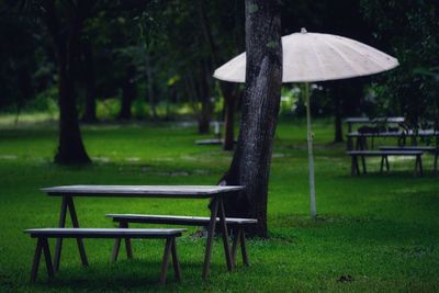 Empty bench in park