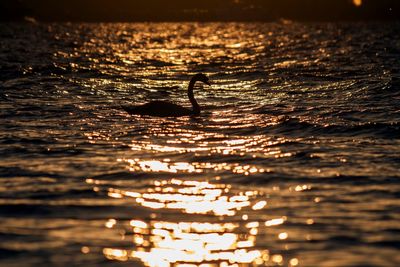 Silhouette people by sea against sky during sunset