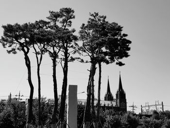 View of trees and building against sky