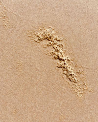 High angle view of crab on sand