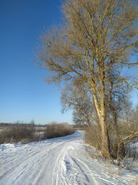 Bare tree on snow covered field against sky