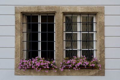 Windows of a historical building in the old town of buda in budapest.