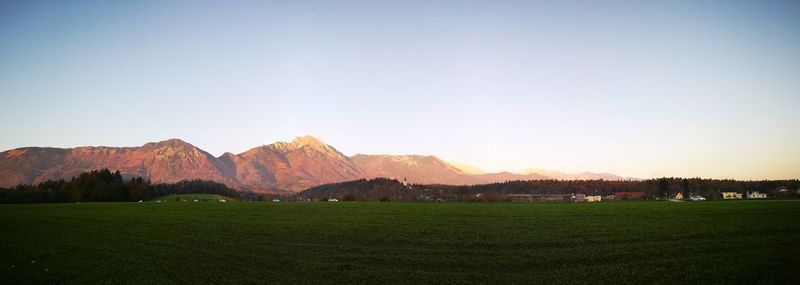 Scenic view of field against clear sky