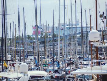 Sailboats moored at harbor against sky