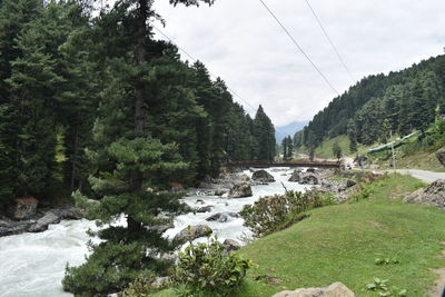 Scenic view of river stream amidst trees in forest against sky