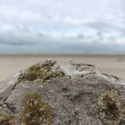 Close-up of rock on beach against sky