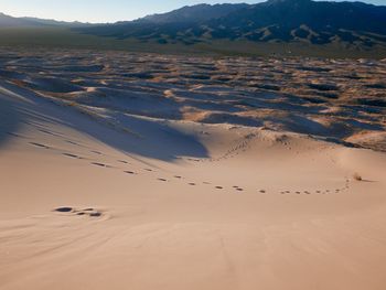 Footprint on sand dune in desert