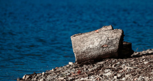 Close-up of rock by sea against blue sky