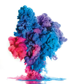 Close-up of multi colored flowers against white background