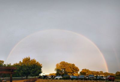 Rainbow over trees against sky