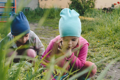 Children exploring vegetable seedlings in the backyard. girls helps family in vegetable garden. 