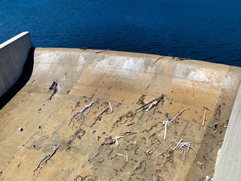 High angle view of birds on beach