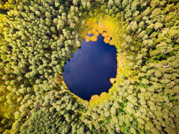 Digital composite image of tree against sky