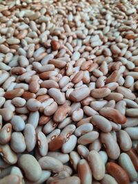 Full frame shot of coffee beans