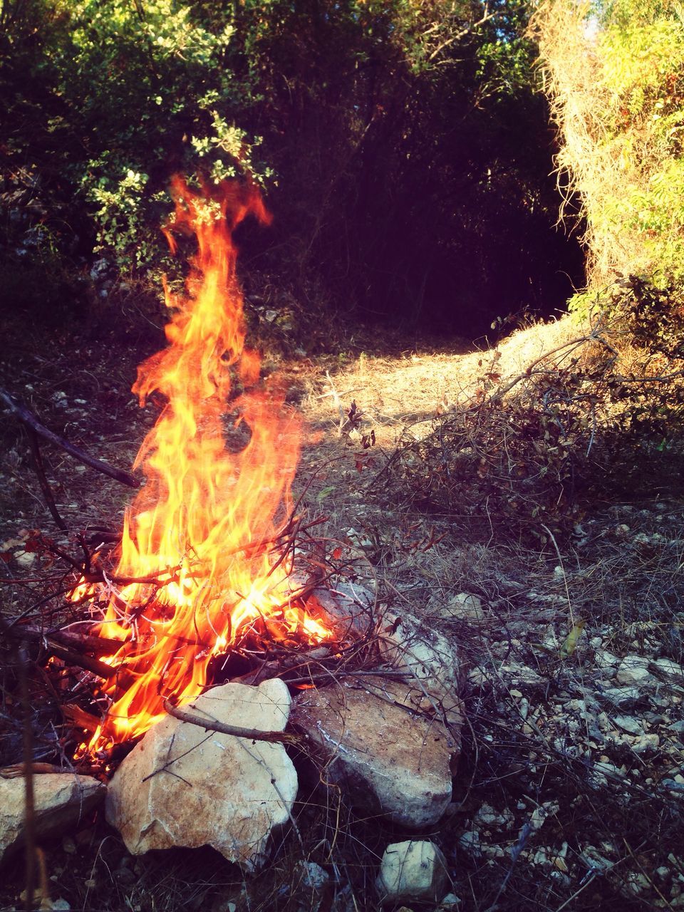 flame, burning, heat - temperature, fire - natural phenomenon, bonfire, orange color, firewood, fire, motion, glowing, nature, forest, outdoors, autumn, high angle view, change, field, rock - object, no people, heat