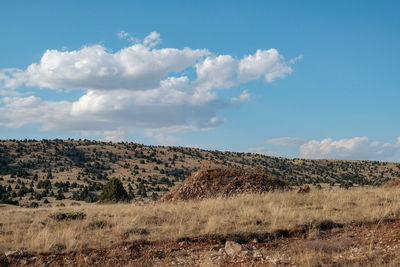 Scenic view of landscape against sky