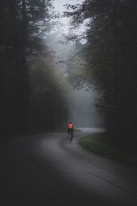 Rear view of man walking on road