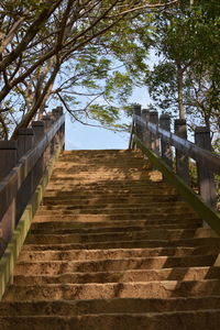 Low angle view of steps amidst trees against sky