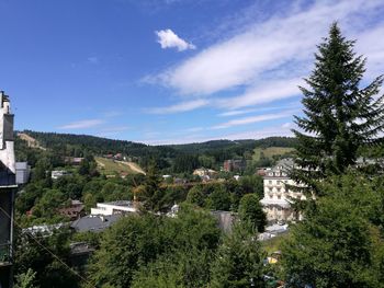 Houses by trees against sky