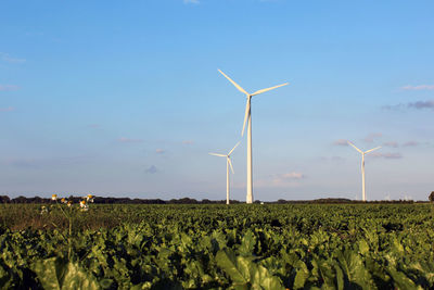 View of windmill on field against sky