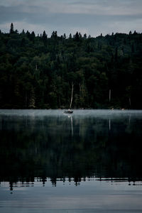 Scenic view of lake against trees in forest