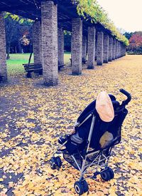 Man in autumn leaves