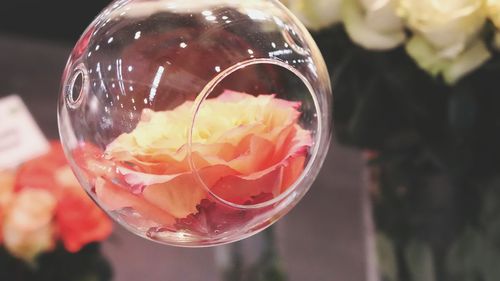 Close-up of drink in glass on table