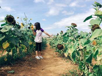 Full length of girl standing on sunflower field against sky