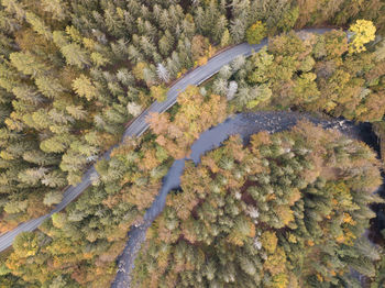 High angle view of road amidst trees in forest