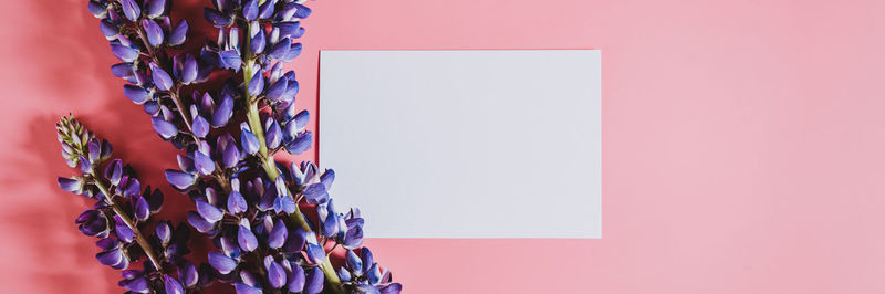 Close-up of purple flowering plant against wall