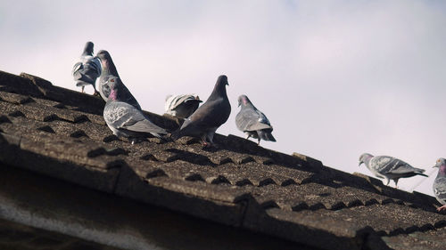 Low section of man lying on roof against sky