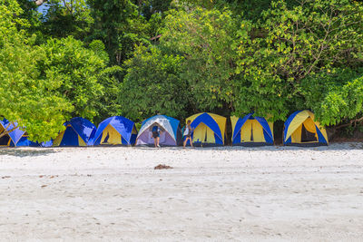 People by tents at beach against trees