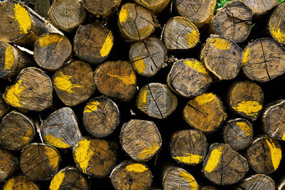 Full frame shot of logs in forest