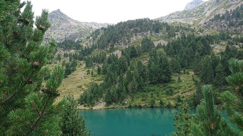 Scenic view of lake by trees against sky