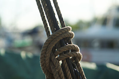 Close-up of rope tied on wood