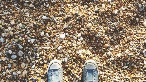 Low section of person standing on pebbles