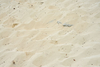 sand