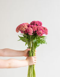 Close-up of hand holding bouquet against white background