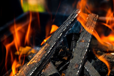 Close-up of fire on log