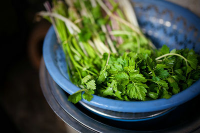 High angle view of coriander leaves in bowl