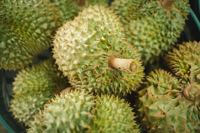 Full frame shot of food