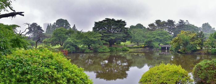 Scenic view of lake by trees against sky