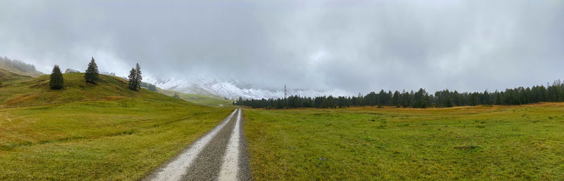 Panoramic shot of road amidst plants against sky