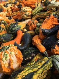 Close-up of pumpkins for sale at market