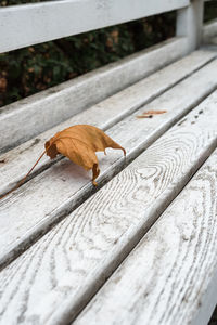 High angle view of dry leaf on wood