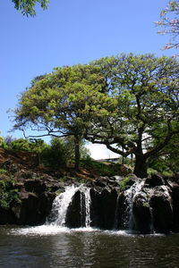 Scenic view of waterfall