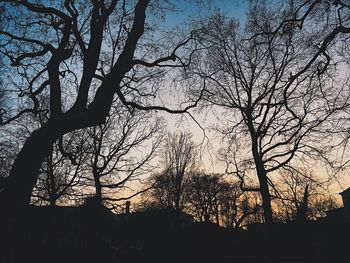 Low angle view of silhouette trees against sky