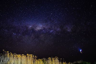 Star field against sky at night