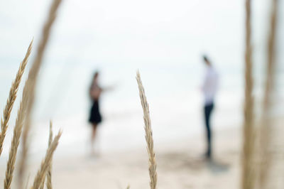Close-up of men standing on beach against sky